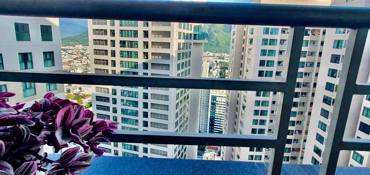 Căn hộ 3704 Tòa OC2A (Mường Thanh Viễn Triều) 58,8m² giá 2,98 tỷ - Thiết kế hợp lý, dễ ở!