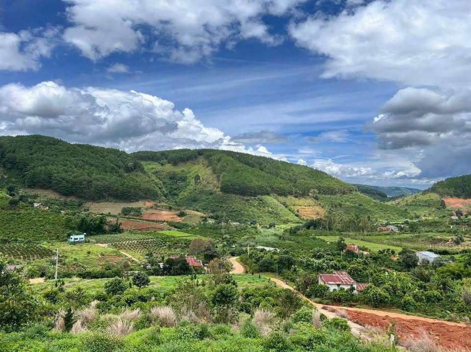 Đất thổ cư 531m² tại Nam Ban, Lâm Hà chỉ 850 triệu - Cơ hội đầu tư hấp dẫn!