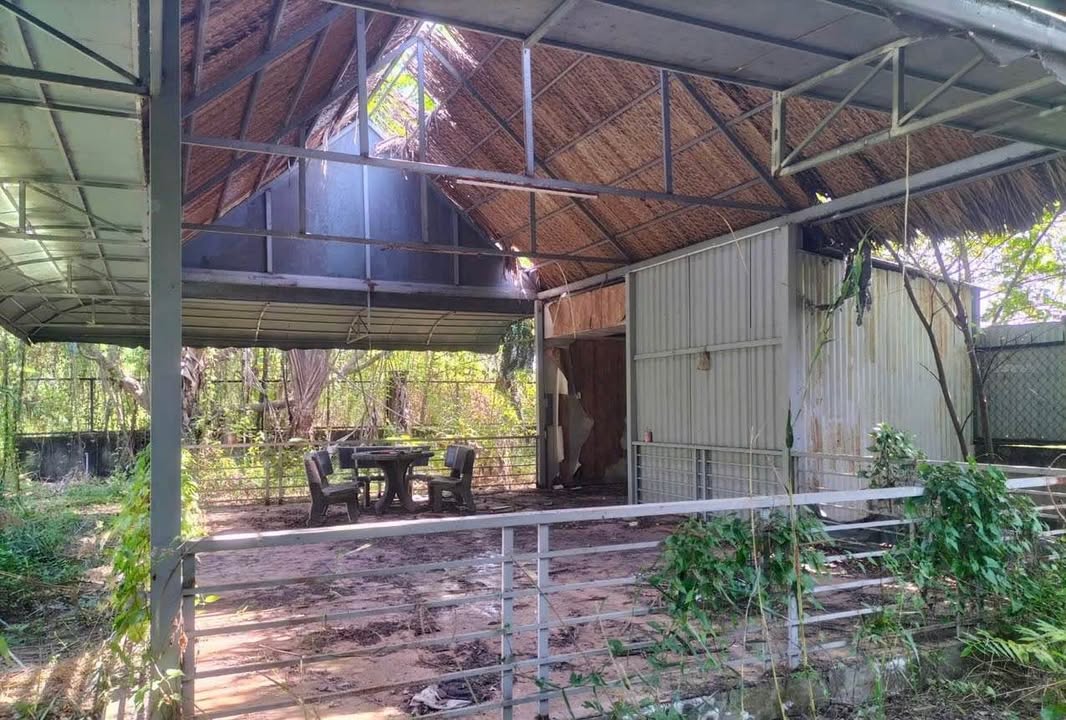 Bán Nhà Vườn 1125m² Đường Lê Văn Lương Nhơn Đức - Giá Chỉ 6 Tỷ!