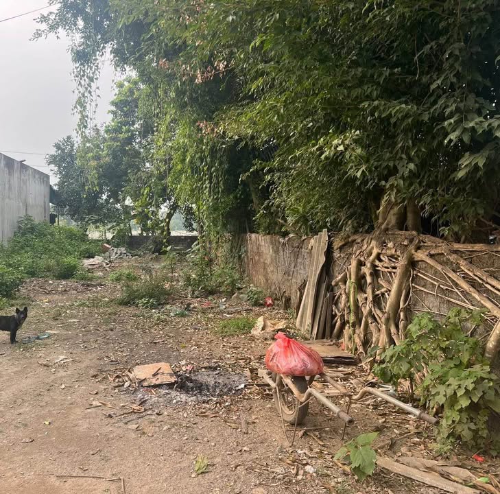 Đất thổ cư 150m² tại Thái Long, Tuyên Quang giá 500 triệu - Sổ đỏ chính chủ!