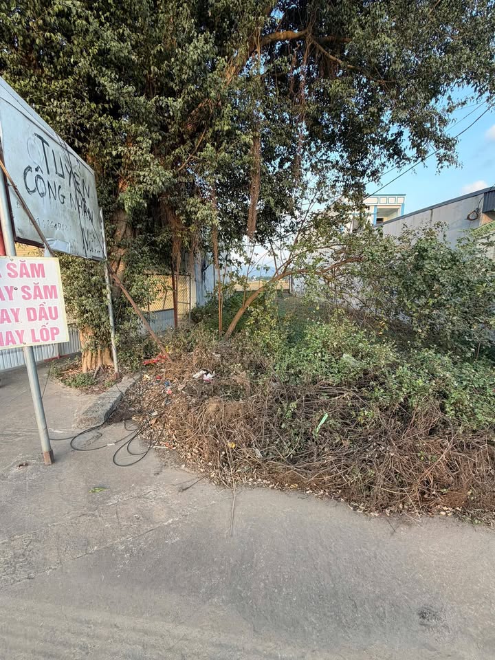 Đất Quốc Lộ 12B, Xã Thanh Sơn, 100m² giá 2.5 tỷ - Vị trí đắc địa, đầu tư sinh lời!