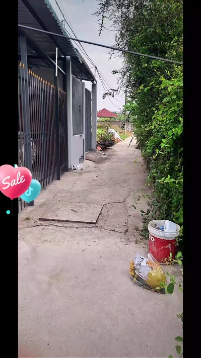 Nhà mái thái 2PN tại xã Phước Lộc, Nhà Bè 139m² giá 990 triệu - Chính chủ bán gấp!