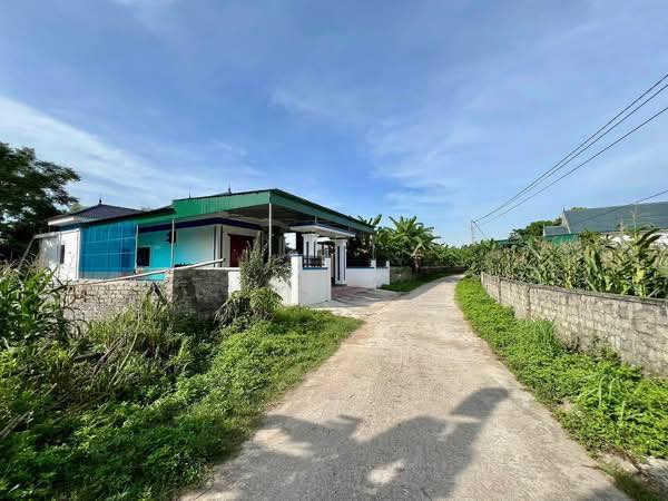 Đất thổ cư 306m² tại xóm Trại Bùi, Yên Thành chỉ từ 400 triệu - Cơ hội vàng cho nhà đầu tư!