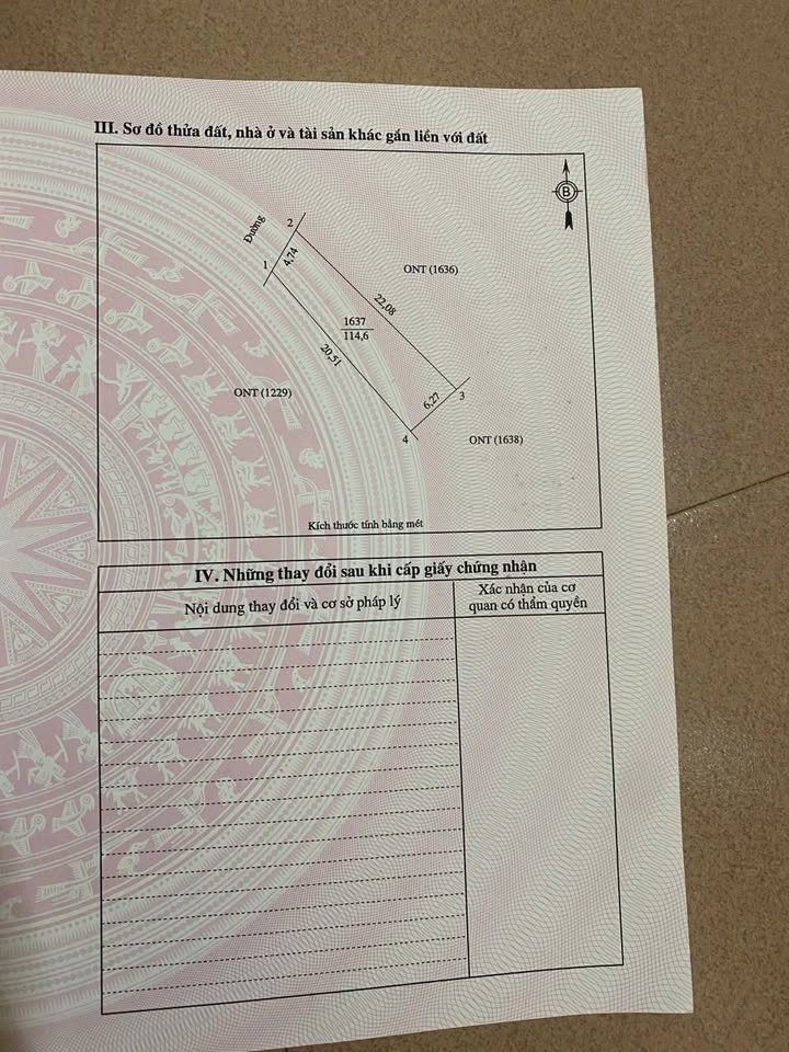 Lô đất mặt đường Phượng Hoàng, xã Hưng Lĩnh, 115m² giá 3 tỷ - Cơ hội đầu tư hấp dẫn!