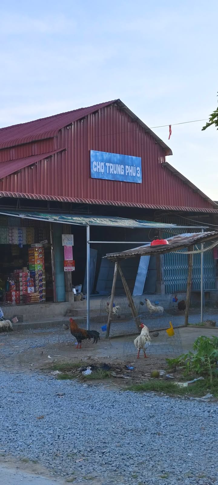 Nhà 1 trệt 1 lầu tại Vĩnh Phú, Thoại Sơn – 80m² giá 800 triệu - Đầu tư kinh doanh sinh lời!