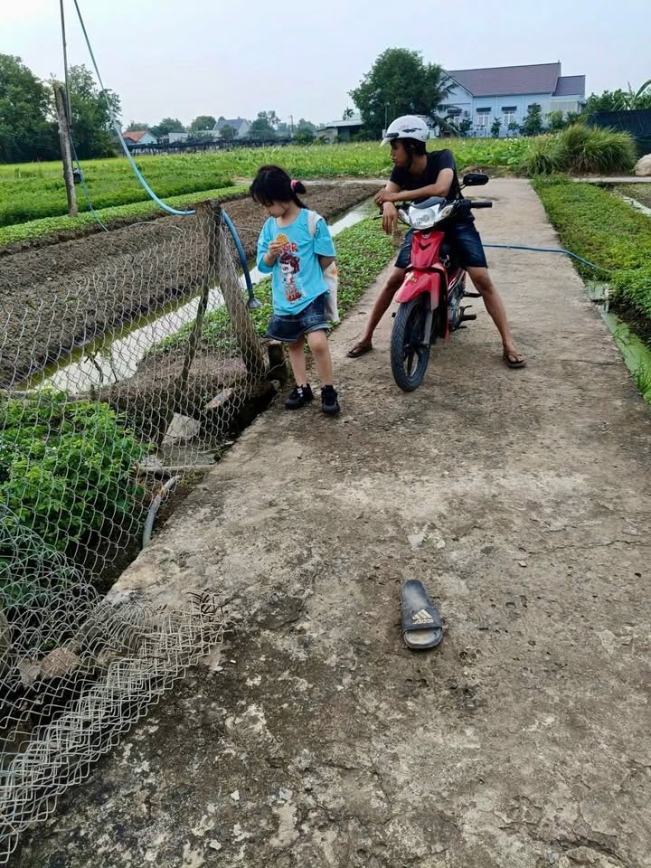 Đất thổ cư xã Mỹ Lộc, Cần Giuộc, Long An 79,5m² giá 590 triệu - Cơ hội đầu tư hấp dẫn!