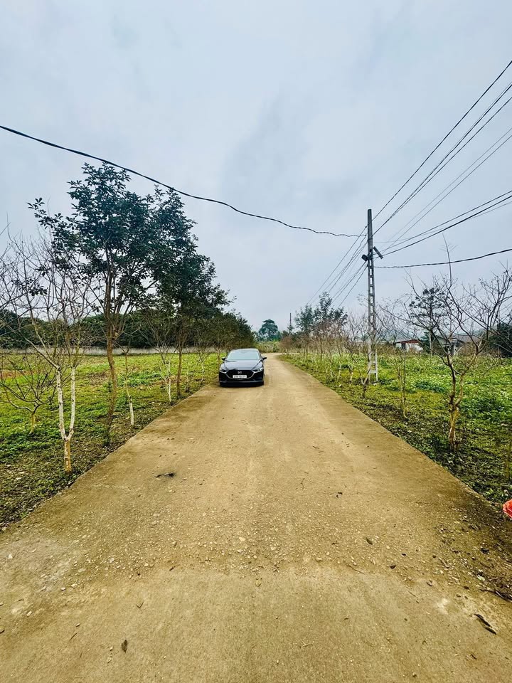 Đất nền xã Phong Quang, huyện Vị Xuyên 450m² giá 430 triệu - Vị trí đắc địa, đầu tư sinh lời!