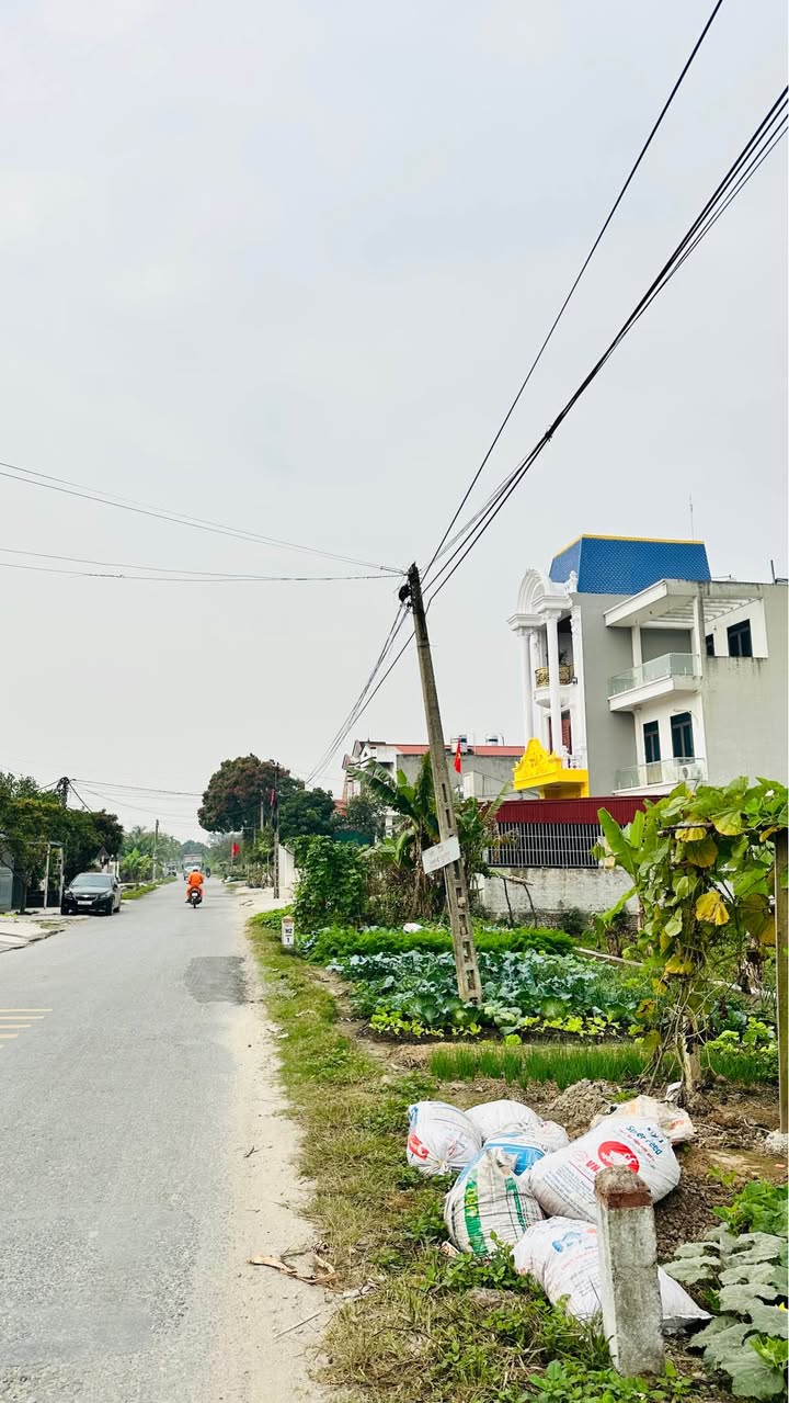 Đất mặt tiền Quốc lộ 391B, Tứ Kỳ 100m² giá 2.3 tỷ - Đầu tư sinh lời ngay!