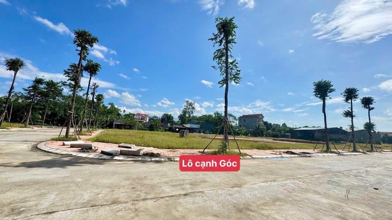 Đất nền Thị trấn Lập Thạch 133m² giá 1.3 tỷ - Cơ hội đầu tư hấp dẫn!