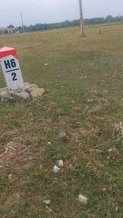 Đất nền Thọ Xuân 175m² giá 500 triệu - Cơ hội đầu tư hấp dẫn!