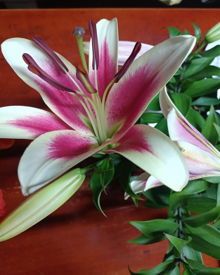 Đất nền Cư Suê, 105m² giá 1.1 tỷ - Đầu tư sinh lời ngay!