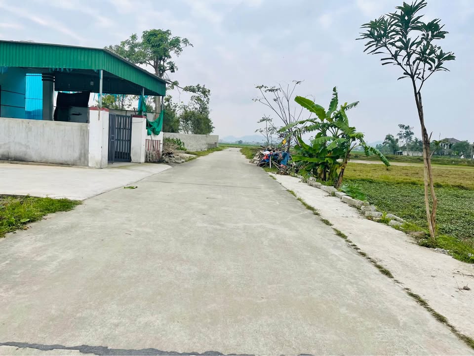 Đất thổ cư Xóm Trường Sơn, Nghi Trường 103m² chỉ 1.3 tỷ - Cơ hội đầu tư hiếm có!