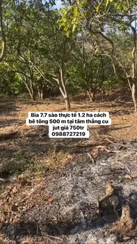 Đất Farm 12000m² tại Cư Knia, Cư Jút - Giá chỉ 750 triệu, cơ hội đầu tư hấp dẫn!