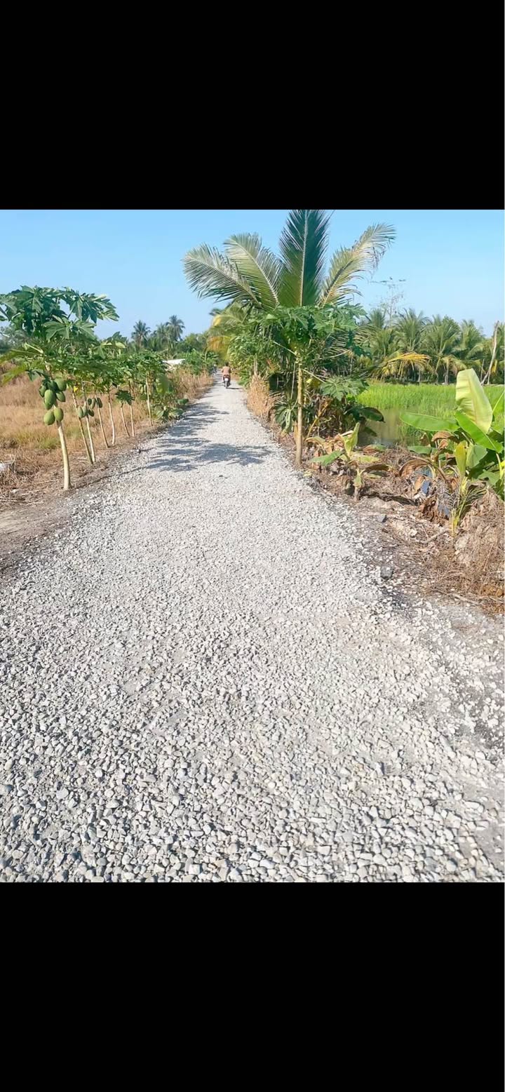 Đất nền Huyện Châu Thành 28000m² giá chỉ 14.51 tỷ - Đầu tư sinh lời ngay!