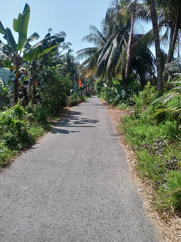 Nhà cấp 4 Xã Long Phước 220m² giá 400 triệu - Cơ hội đầu tư lý tưởng!