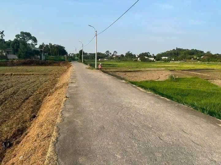 Đất sản xuất nông nghiệp tại xã Thanh Mỹ, Sơn Tây 720m² giá chỉ từ 200 triệu