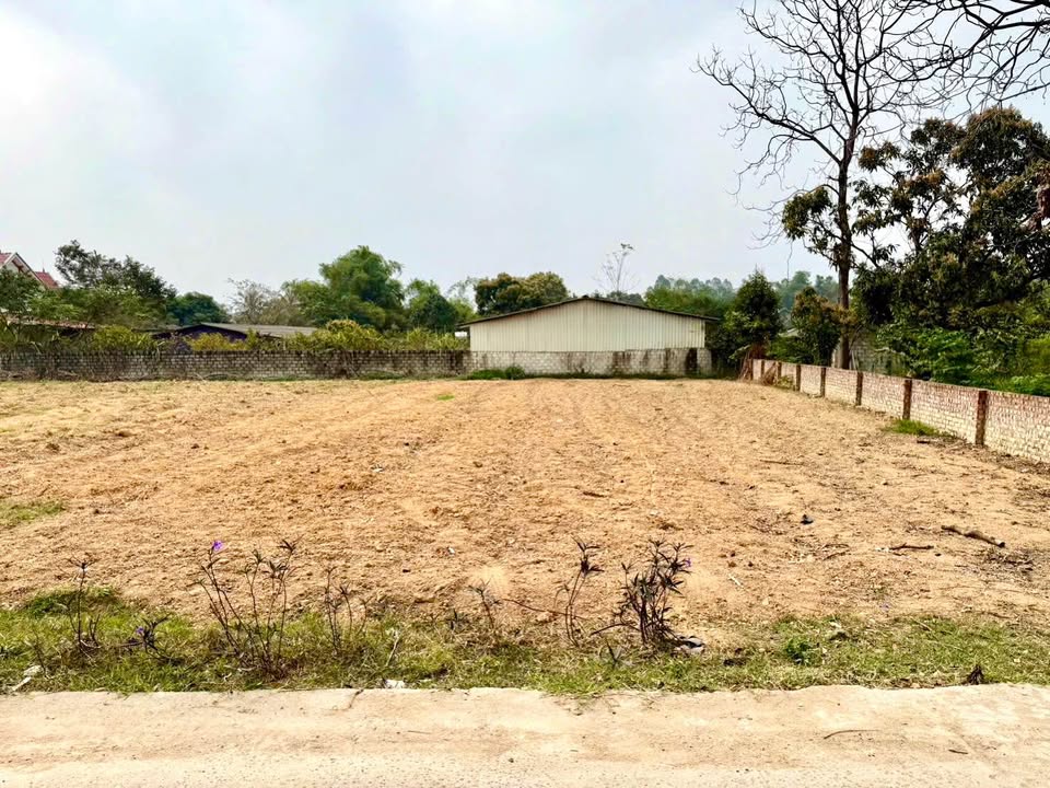 Đất nền 320m² tại Đại Đồng, Vĩnh Tường - Đầu tư sinh lời ngay!