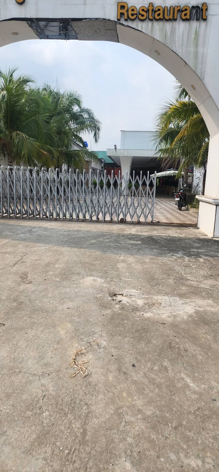 Đất trồng cây lâu năm 2000m² xã Hưng Khánh Trung B, Chợ Lách - Giá 12 tỷ thương lượng!