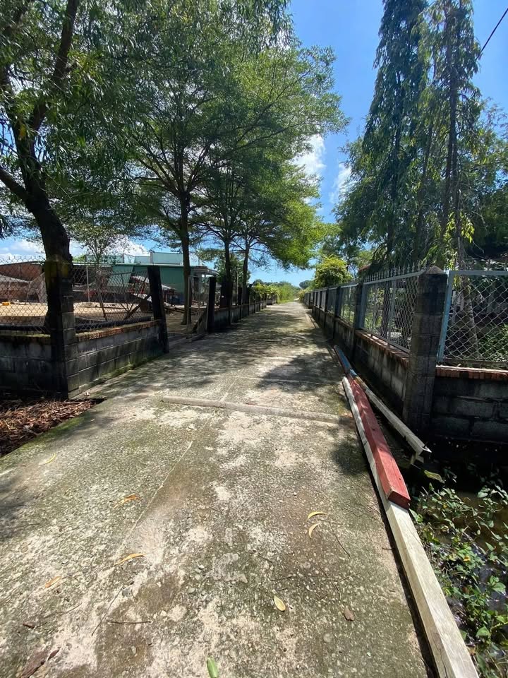 Đất hẻm bê-tông khu phố Thanh Linh, Phước Hội 520m² giá 2.1 tỷ - Hướng Nam chính chủ