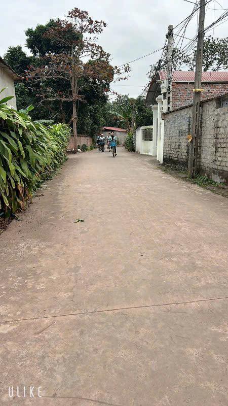 Dãy trọ 170m² tại thôn Tân Văn 3, Lạng Giang chỉ 2 tỷ - Đầu tư sinh lời ngay!