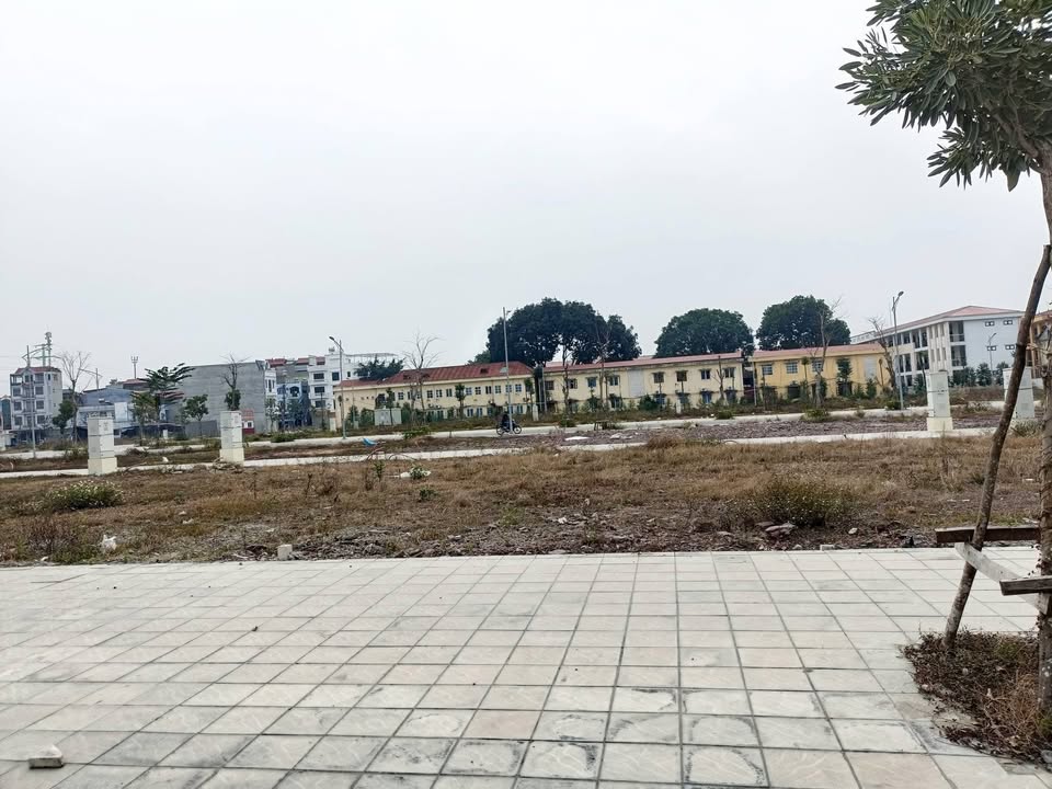 Đất nền Tân Mỹ Avenue, Bắc Giang - 80m² Hướng Bắc, Giá Hời 3.5 Tỷ