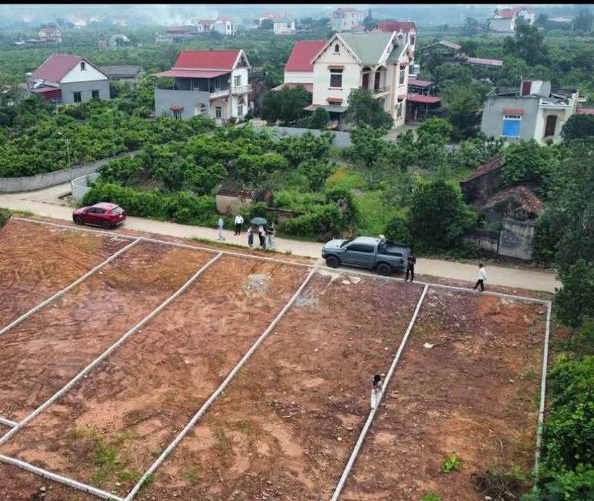 Đất thổ cư xã Lục Nam 600m² giá chỉ 500 triệu - Cơ hội đầu tư hấp dẫn!