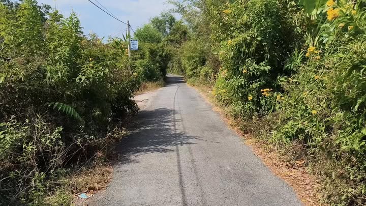 Đất Vườn Tân Phước 1300m² - Giá Tốt, Sẵn Xây Kho Xưởng!