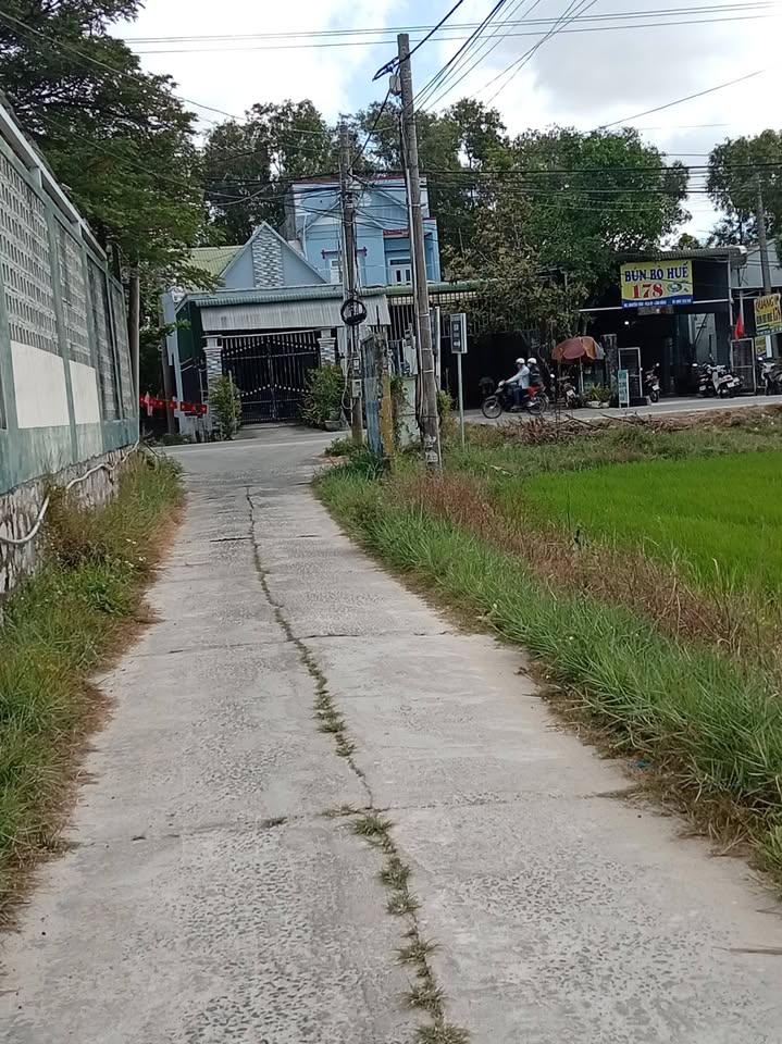 Đất thổ cư 130m² tại xã Bình Tân, huyện Bắc Bình - Giá chỉ 700 triệu!