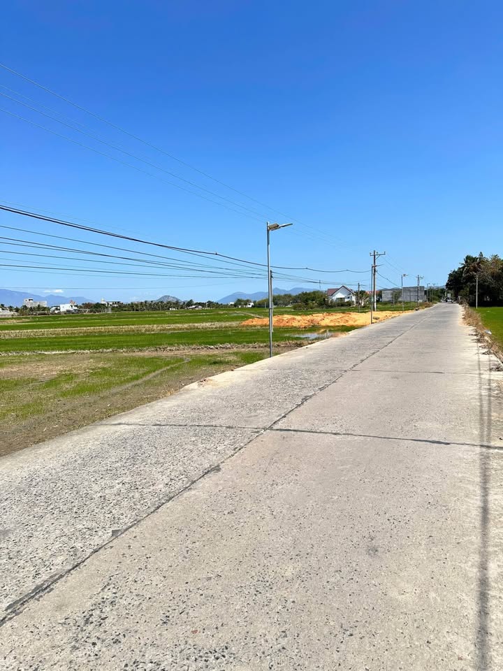 Đất nền nông nghiệp Phước Hải 7560m² giá chỉ 1 triệu - Cơ hội đầu tư hấp dẫn!