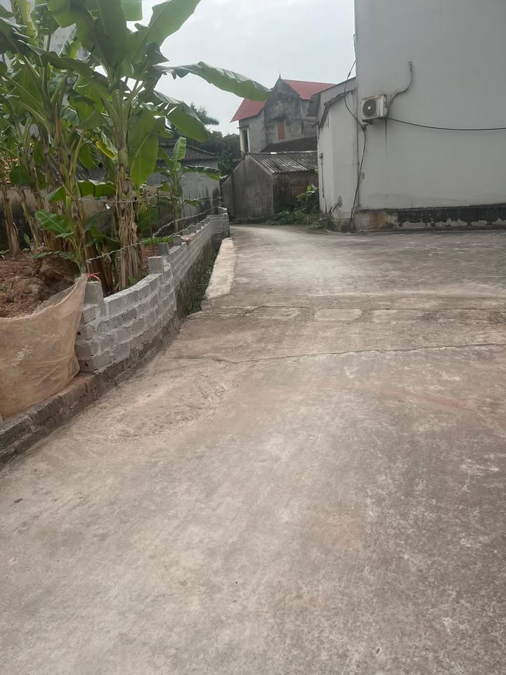 Đất nền Lạng Giang 140m² - Mặt tiền 5.5m, Gần Chợ Vôi