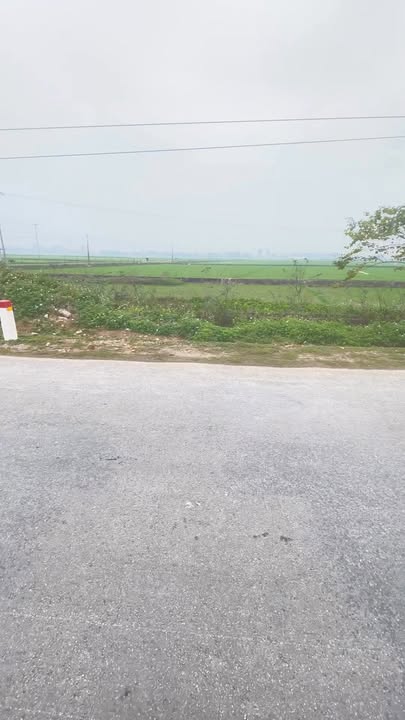 Đất nền đường 533 Vĩnh Thành 160m² - Gần Quốc lộ 7A, giá thỏa thuận!