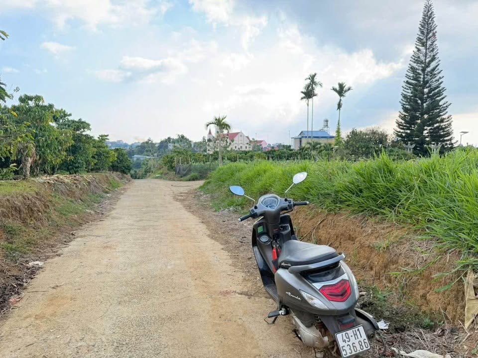 Bán đất Lộc An 1900m² giá 2.6 tỷ - Mặt tiền đường liên xã, thuận tiện kinh doanh!