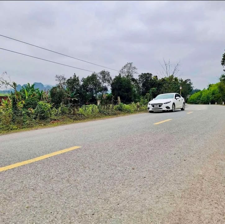 Đất nền 192m² tại tỉnh lộ 538, Yên Thành - Giá chỉ 1.3 tỷ - Đầu tư sinh lời!