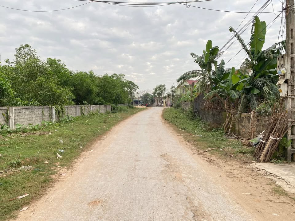 Đất nền Làng Nghè - Lăng Thành 235m² giá chỉ 1 tỷ - Cơ hội đầu tư hiếm có!