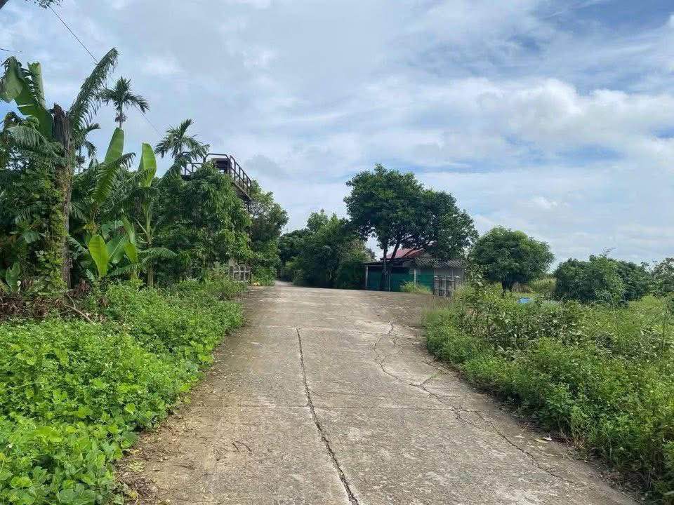 Đất nền tại xã Chất Bình, huyện Kim Sơn, 125m² - Đầu tư sinh lời cao!