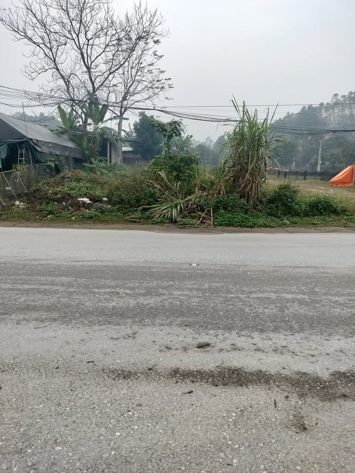 Đất thổ cư đẹp tại khu 11, Ngọc Quan 454m² giá 5.2 tỷ - Cơ hội đầu tư tuyệt vời!