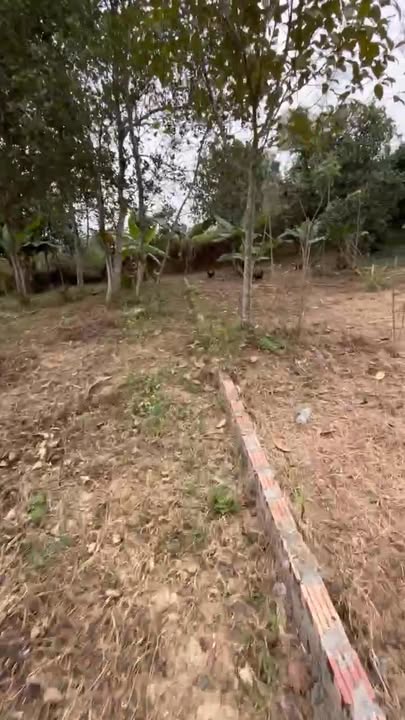 Đất nền xã Thạch Khoán, huyện Thanh Sơn, 340m² giá 600 triệu - Cơ hội đầu tư tuyệt vời!