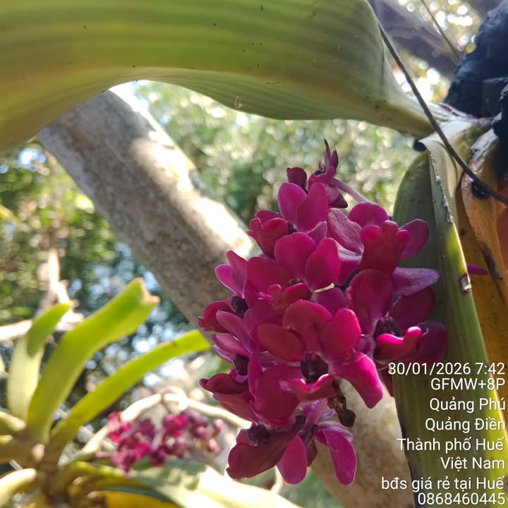 Đất Phường Hương Sơ 94m² giá 1.4 tỷ - Cơ hội đầu tư hiếm có!