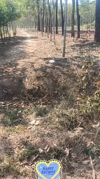 Đất nông nghiệp xã Bình Thắng 50000m² giá chỉ 300 triệu - Cơ hội đầu tư tuyệt vời!