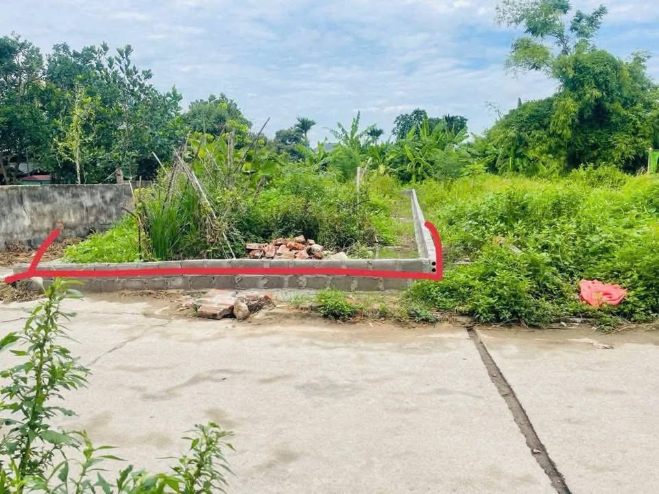 Đất nền Hồng Lĩnh Hưng Hà Thái Bình 100m² giá chỉ 800 triệu - Đầu tư sinh lời ngay!