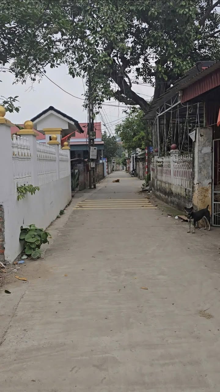 Đất nền Phường Xuân Hòa, TP Phúc Yên 154m² giá 2.8 tỷ - Mặt tiền đẹp, vị trí vàng!