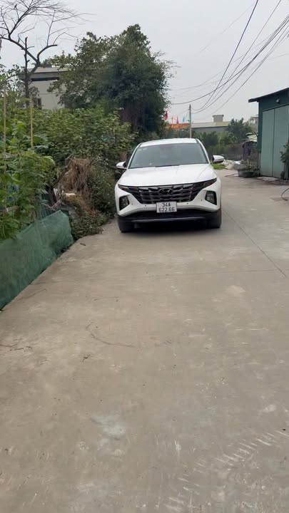 Đất nền tại Bình Xuyên, Bình Giang 105m² giá 1 tỷ - Cơ hội đầu tư hấp dẫn!