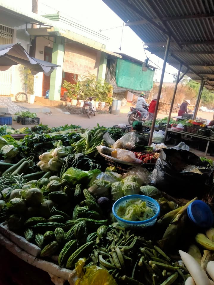 Lô đất nền xã Cây Gáo, Trảng Bom 576m² giá 1.25 tỷ - Sổ đỏ chính chủ ngay chợ chiều