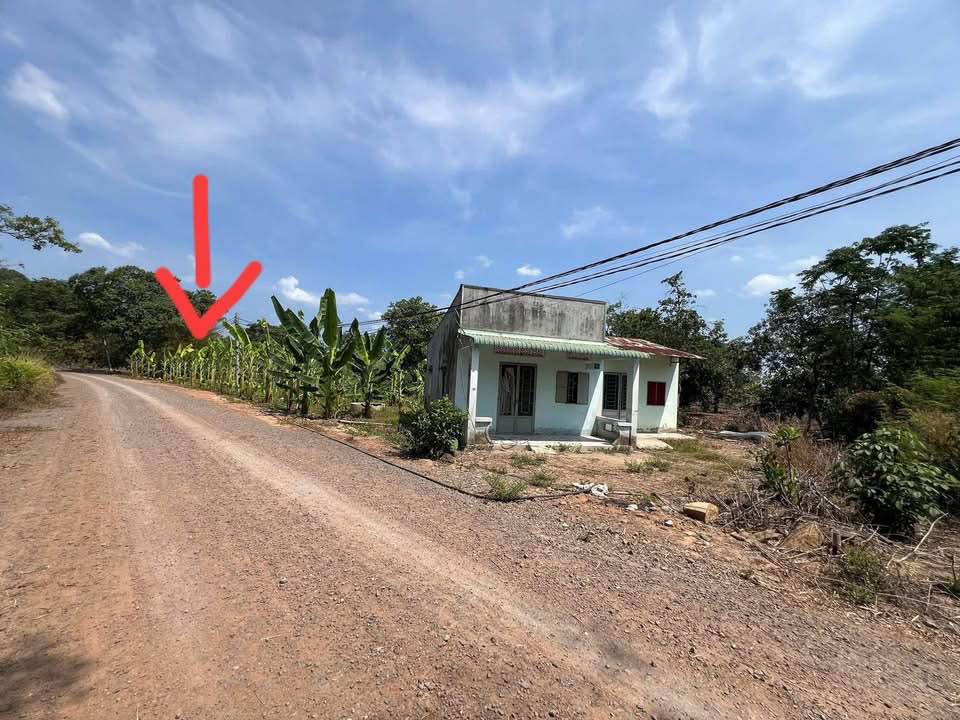 Đất thổ cư 249m² xã Phú Vinh, huyện Định Quán, giá 350 triệu - Cơ hội đầu tư hấp dẫn!