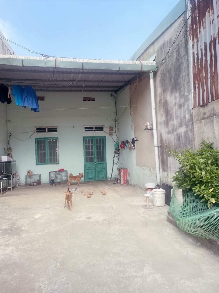 Nhà riêng Tổ 20 Phước Tân 110m² giá 1.35 tỷ - Sổ đỏ chính chủ!