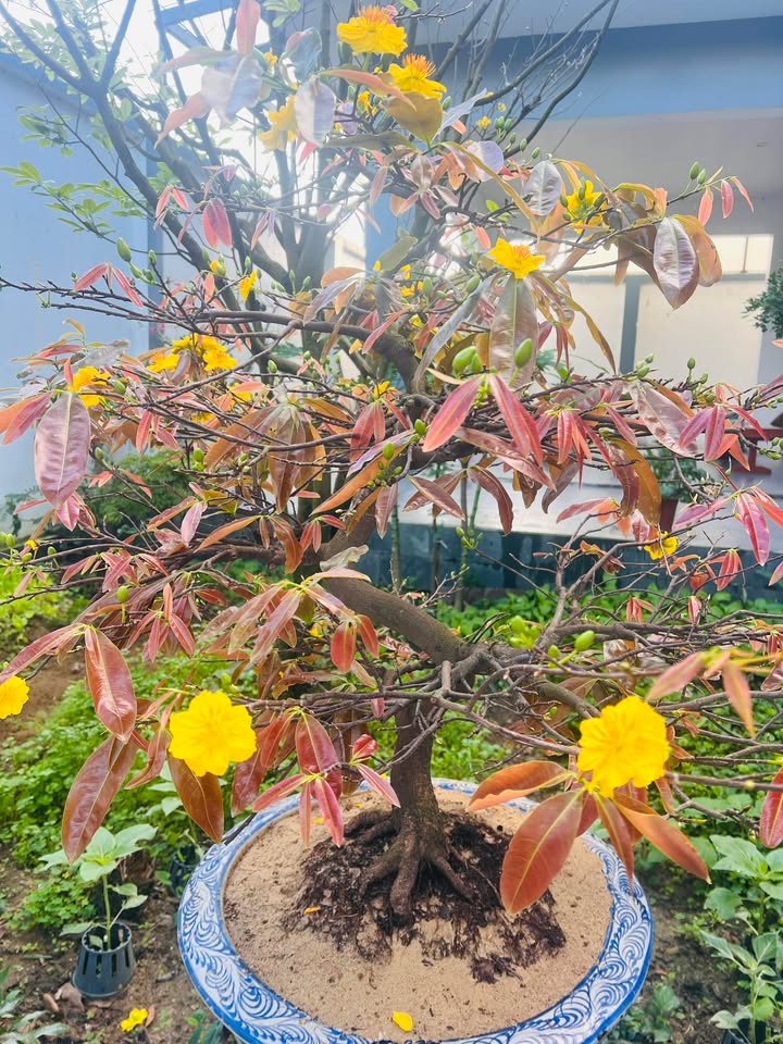 Lô đất bán tại Khu FPT City Đà Nẵng 160m² - Vị trí đẹp, phong thủy ổn định!