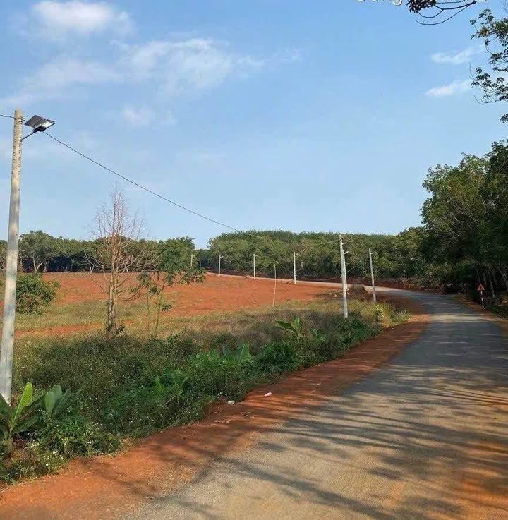 Đất nền Thị trấn Đức Phong, Huyện Bù Đăng 250m² giá chỉ 100 triệu - Cơ hội đầu tư hấp dẫn!