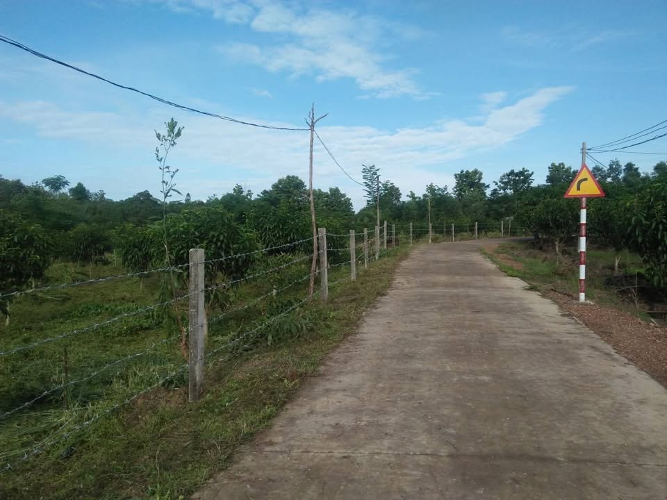 Đất nền 9 sào 1 xã Ngọc Định, Huyện Định Quán - Giá chỉ 4.7 tỷ thương lượng