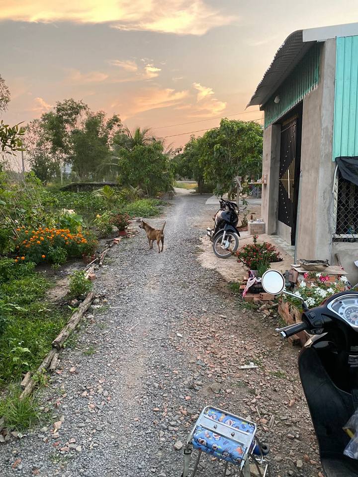 Đất thổ cư Huyện Đức Huệ 153m² giá 800 triệu - Sổ hồng riêng, đầu tư lợi nhuận cao!