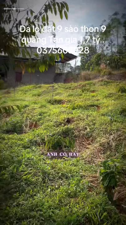 Đất nông nghiệp 9 sào tại Thôn 9 Quãng Tân, Đắk Nông giá 1,7 tỷ - Cơ hội đầu tư hấp dẫn!